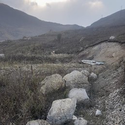 ���� ����, �����������, 55 ��� - ��������� 29 ������ 2025