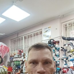 , 41, 