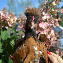 ���� �������, ������� ��������, 40 ��� - ��������� 3 ������� 2026 � ������ ����, ����, �������, �������� � ��� � ����