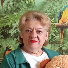 �����, ������������, 66 ���