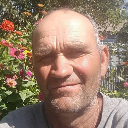 �������, �������, 63 ����