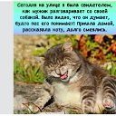 В мире кошек, котов и котят - 22 сентября 2025 в 00:41
