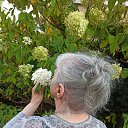 ���� Nani, ��������� - ��������� 24 ������� 2025 � ������ ���� ����������