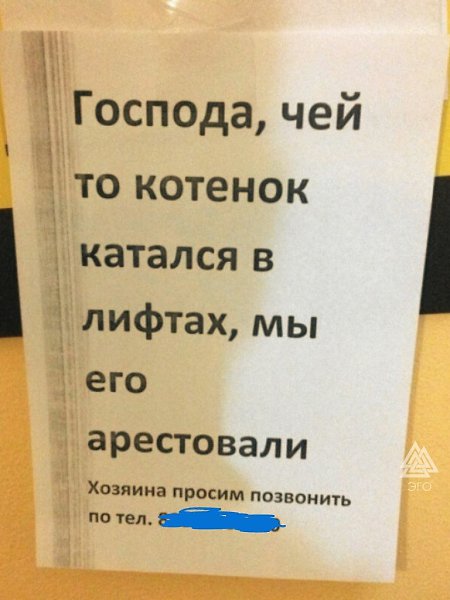 Вот такие объявления я хочу видеть всё время