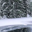 ���� ��������, ������, 51 ��� - ��������� 11 ������ 2025