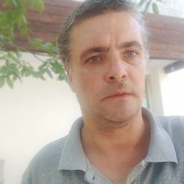 , 44, 