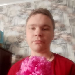 , 29 , 