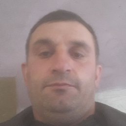 ������, ������, 43 ����