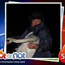 ���� ������, ������, 67 ��� - ��������� 25 ������ 2026 � ������ ���� ����������