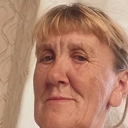 ����, ������, 66 ���