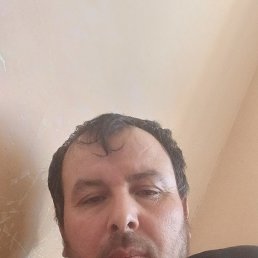 , 45, 