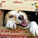 ���� �������, ������, 70 ��� - ��������� 22 ������� 2024 � ������ ���� ����������