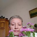 ���� �����, �����, 67 ��� - ��������� 23 ������� 2024 � ������ ���� ����������