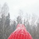 ���� �������, ����������, 65 ��� - ��������� 1 ������ 2024 � ������ ���� ����������