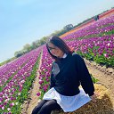 ���� ������ ���������, ������ - ��������� 30 ������� 2025 � ������ ���� ����������