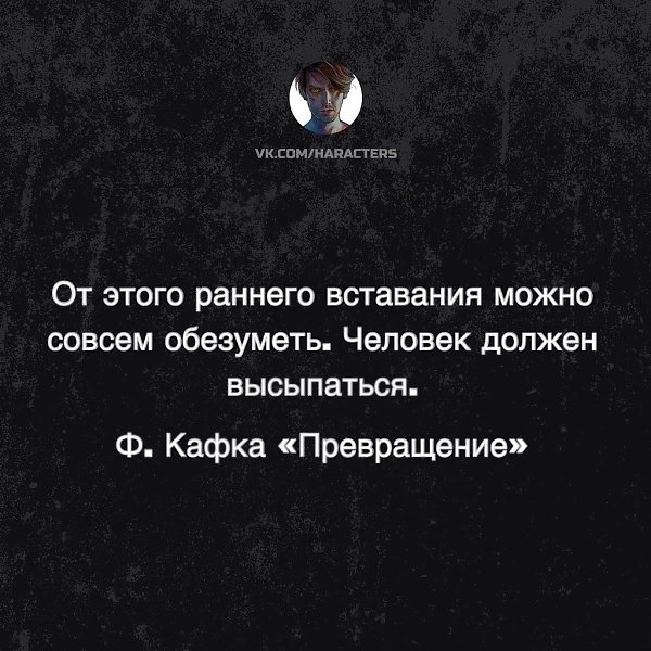 �������� - 29 ���� 2025 � 13:26