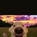 ���� �����, �����-���������, 20 ��� - ��������� 16 ���� 2025 � ������ ���� ����������