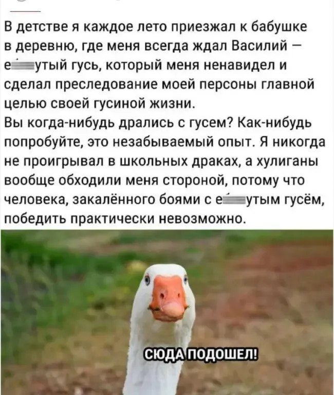   - 10  2025  16:43
