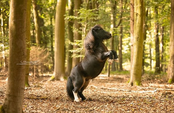  -   ! - 16  2025  12:59