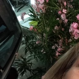 ����, ������, 45 ���