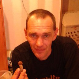 ������, ��������, 48 ���