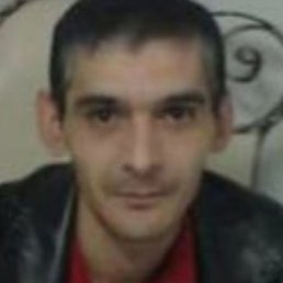 �����, ������, 41 ���