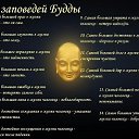 ���� ������, ���������, 61 ��� - ��������� 29 ���� 2025 � ������ ���� ����������