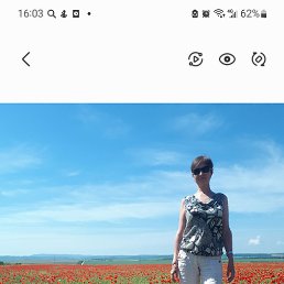 �������, ������-��-����, 60 ���