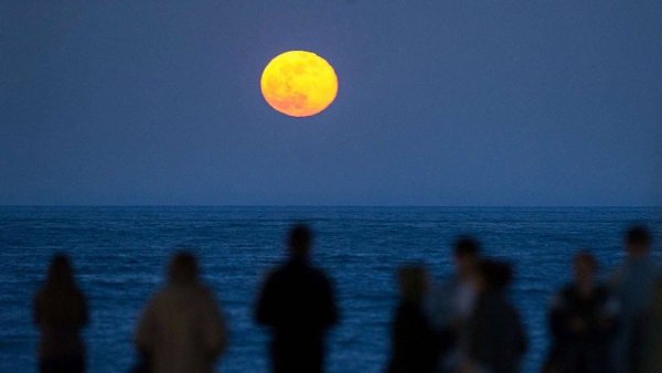 Сегодня красноярцы смогут увидеть крупнейшее суперлуние года. На небе уже появилась так называемая ...