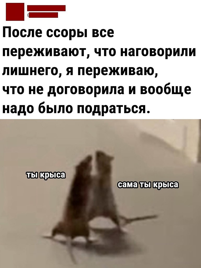  - 4  2024  23:14