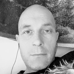 ������, ������, 41 ���