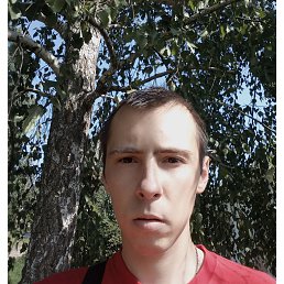 , 29, 