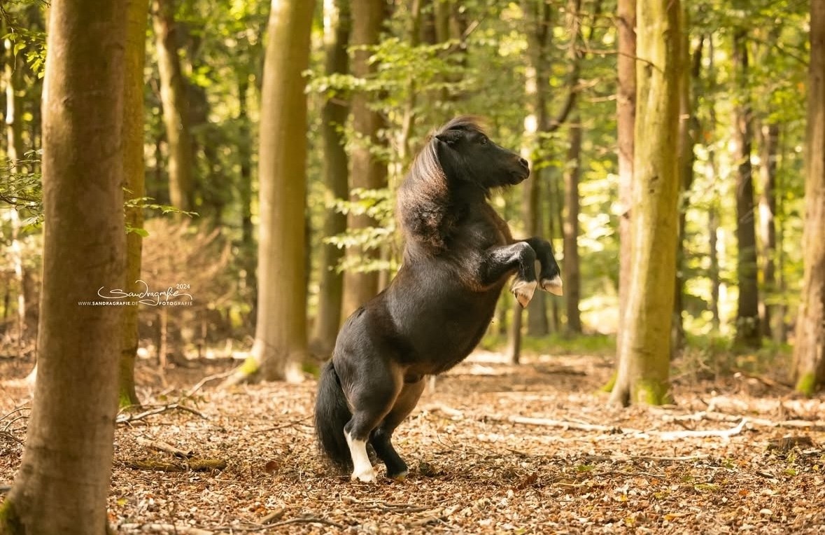  -   ! - 16  2025  12:59