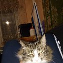 ���� �������, ����, 64 ���� - ��������� 8 ����� 2025 � ������ ���� ����������