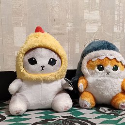 ����, ������������, 21 ���