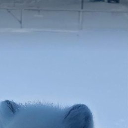 ���� ���, ��������, 35 ��� - ��������� 9 ������� 2025