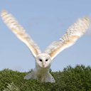 ���� Nontn, ������ ��������, 45 ��� - ��������� 17 ����� 2024 � ������ ���� ����������