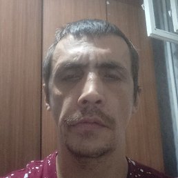 �������� ����������, ������, 41 ���