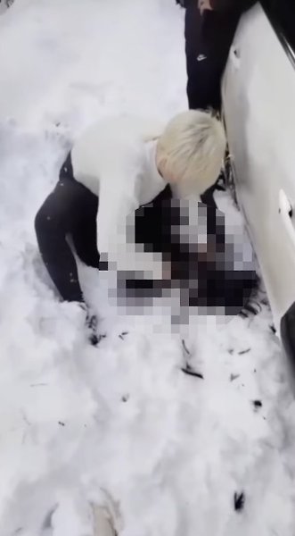 Жесткие кадры: на Урале бешеная жена похитила любовницу мужа, побрила её налысо, облила зелёнкой и ...