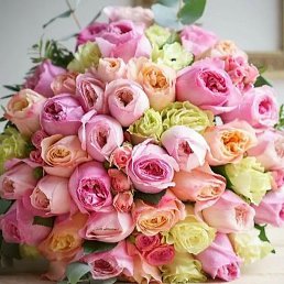 ���, ���, 43 ����