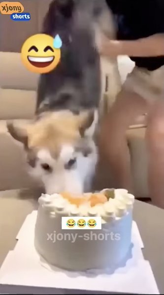 ��� ���� ����� ����������� - 2