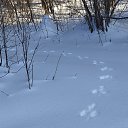 ���� Olqa, ������, 53 ���� - ��������� 23 ������� 2025 � ������ ���� ����������