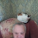 ���� ����, �����, 53 ���� - ��������� 2 ������� 2026 � ������ ���� ����������