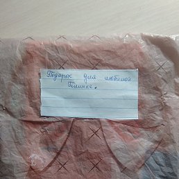 �����, ������, 33 ����