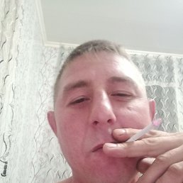 , 37, 