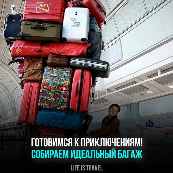 Планируете захватывающее путешествие, но не знаете, что взять с собой? Давайте вместе соберём ...
