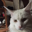 ���� Konstantin, ������ - ��������� 27 ������� 2025 � ������ ���� ����������