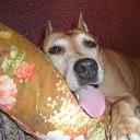 ���� Alex, ����, 50 ��� - ��������� 17 ������ 2025 � ������ ������ ��������