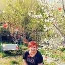 ���� �����, ���������, 66 ��� - ��������� 29 ������ 2026