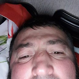 ����, �������, 42 ����